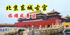 干女人b视频在线玩中国北京-东城古宫旅游风景区